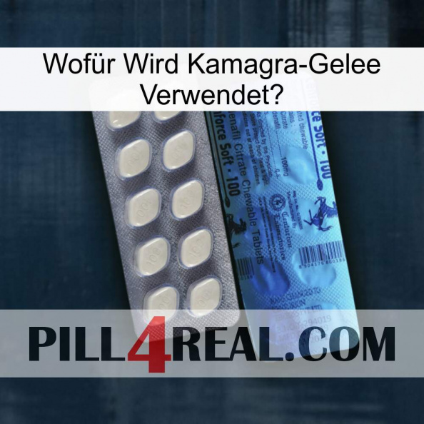 Wofür Wird Kamagra-Gelee Verwendet 34.jpg